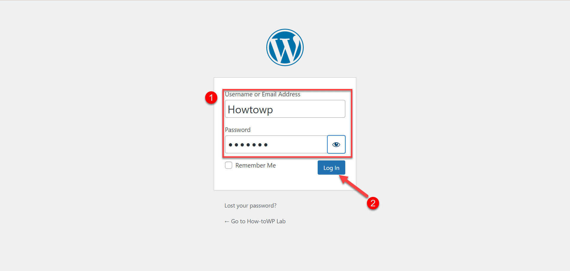 Wordpress Login Page