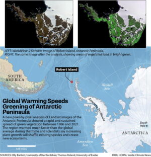 Greening of Antartica shows how climate change affects the frozen continent