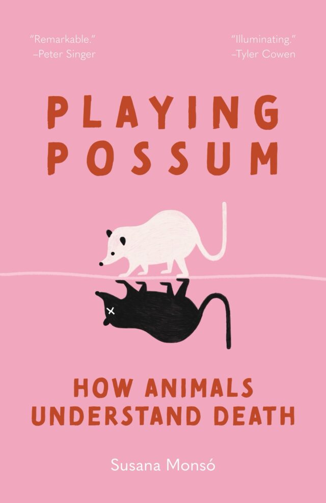 cover art for playing possum