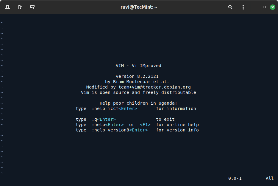 Vim: A Versatile Text Editor for Developers