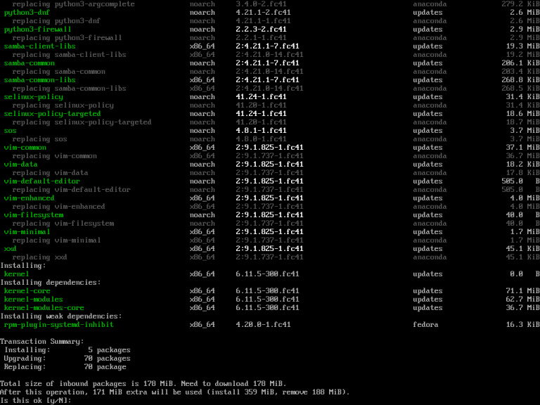 How to Install Fedora 41 Server with Screenshots