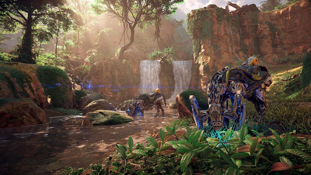 A photo of the the game's jungle.