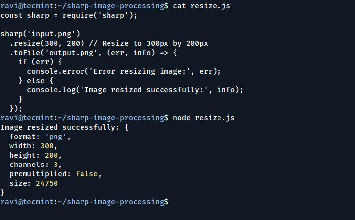 Resize Image Using Node.js