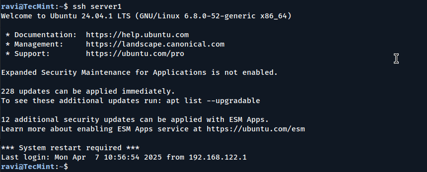 Connect SSH Server without Password
