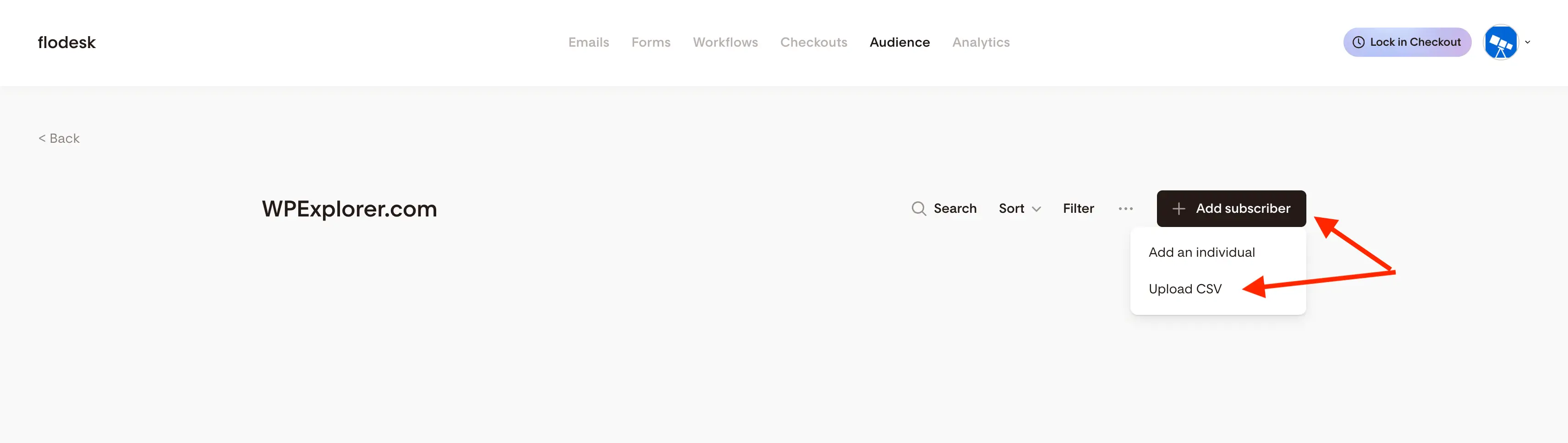 Flodesk add subscribers to segment