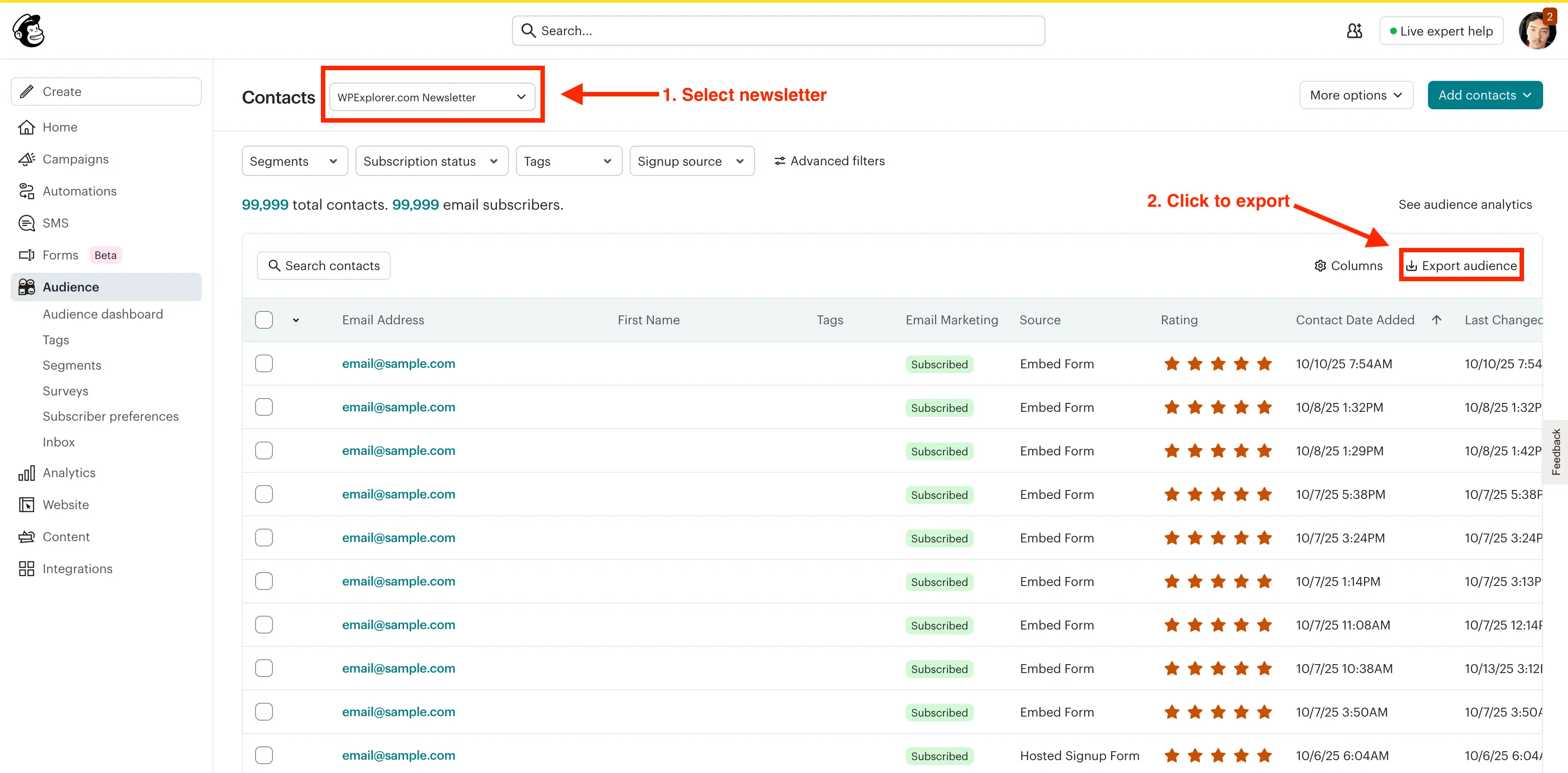 Mailchimp export audience
