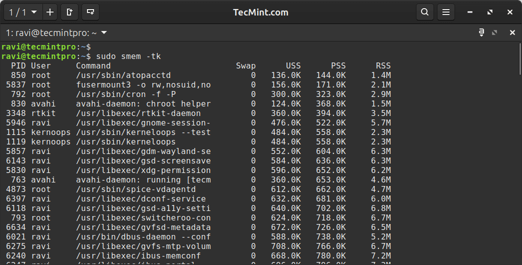 smem: Memory Usage Analysis Per Process