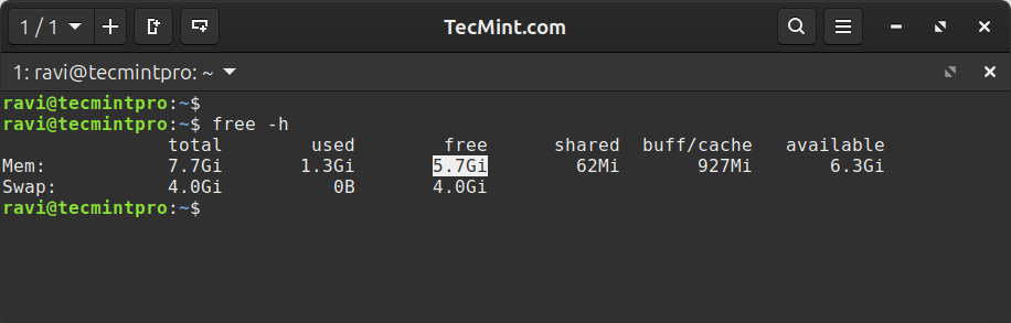 Check Available Linux Memory