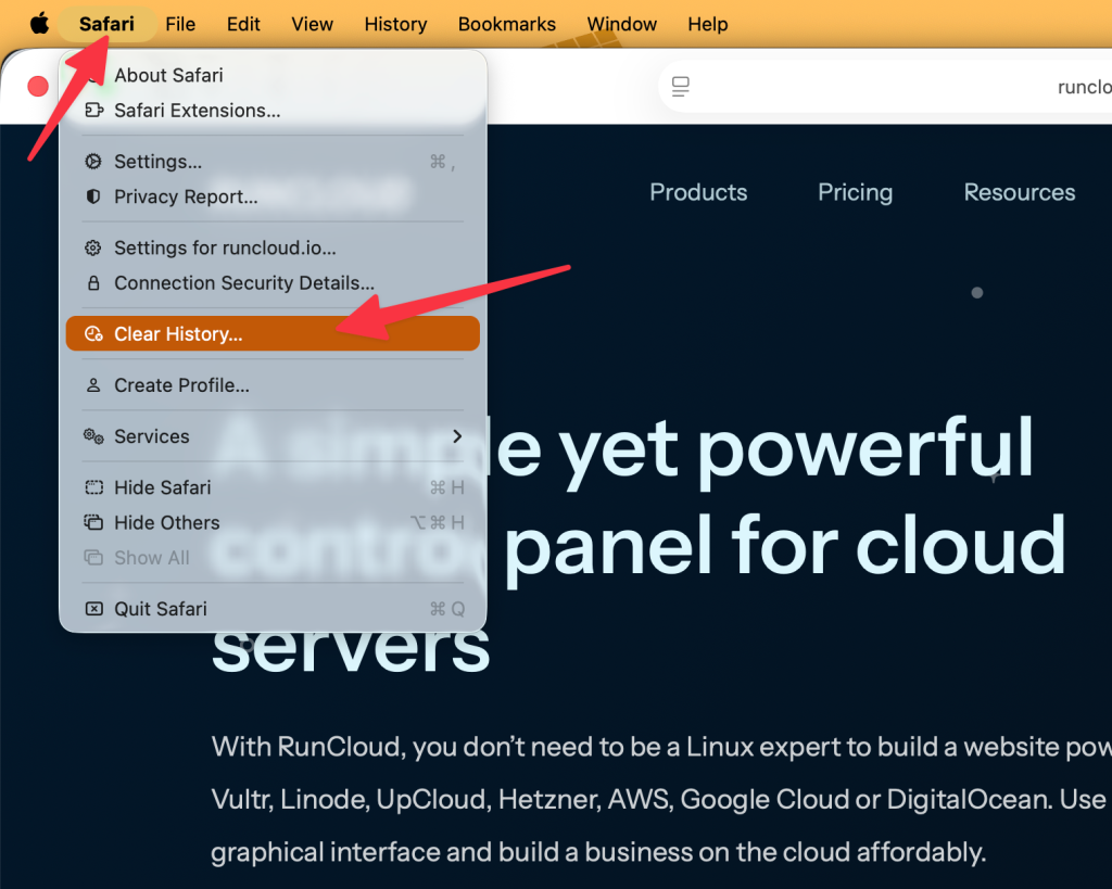 clear browser cache and cookies